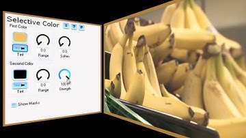Get Picky with Selective Color and Video Essentials V