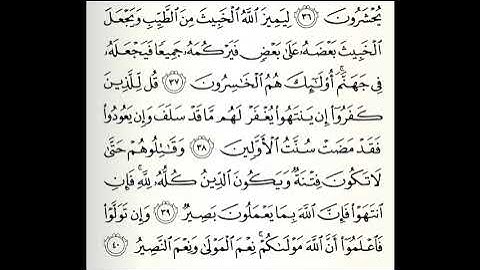 تلاوات مختارة سورة الأنفال القارئ علي جريد العنزي