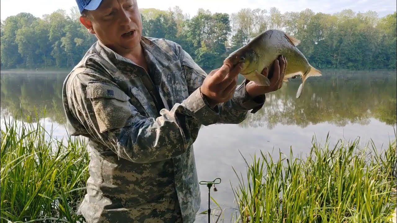 Павловское водохранилище рыбалка с берега. Река неман рыбалка. Рыбалка на реке неман. Трофейный жерех фото. Рыбалка на реке неман.