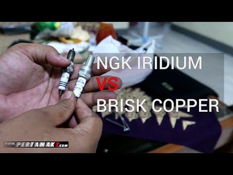 BRISK BUSI TERBAIK || REVIEW. 