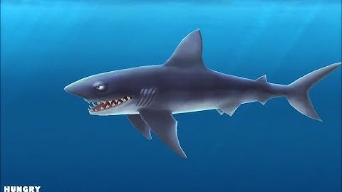 Hungry Shark Evolution Mako Shark Gameplay/Walkthrough Android/IOS