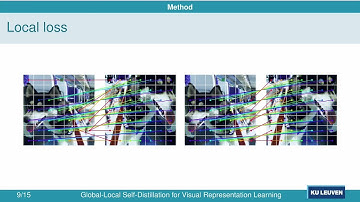 Global-Local Self-Distillation for Visual Representation Learning
