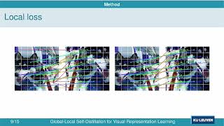 Global-Local Self-Distillation for Visual Representation Learning