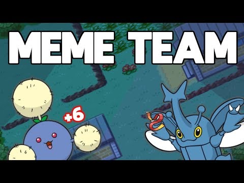 meme-team-#1(strange-sets-team-1)