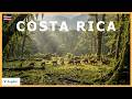 Forged in Fire, Reclaimed by Life — The Story of Wild Costa Rica’s Untamed Evolution