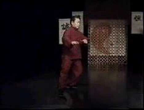 Fu Shengyuan - forma 85 parte 1de 2