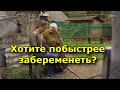 Слепая баба Нина — советы для беременных