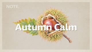 Autumn Calm | Refined Chill House for Deep Work & Coding screenshot 5