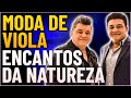 MODA DE VIOLA - CEZAR E PAULINHO - ENCANTOS DA NATUREZA