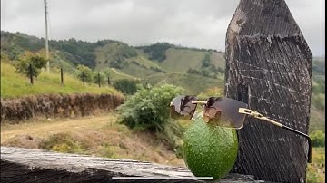 INTERNATIONALIZATION PROCESS | ABEHASS | GROUP #4