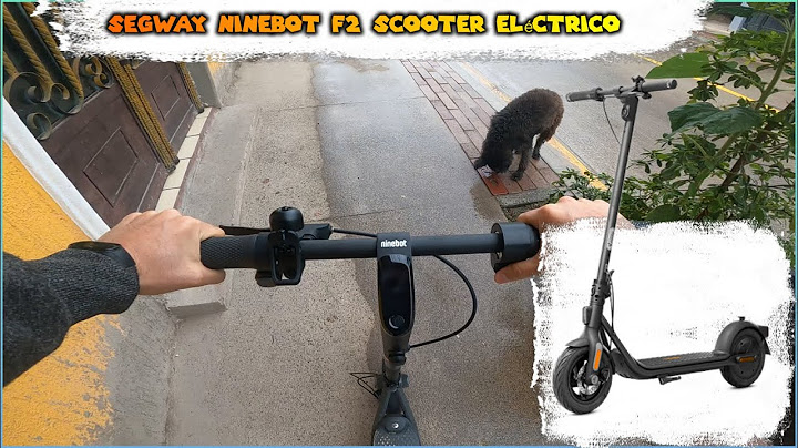 Segway Ninebot F2 Electric Scooter / Skate