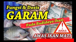 Apa Manfaat Garam Pada Budidaya Ikan? Kapan Waktu Akan Digunakan? Berapa Takaran Yang Aman?