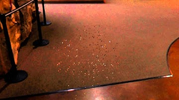 Blender - Explode modifier on Glass sphere - HDRI