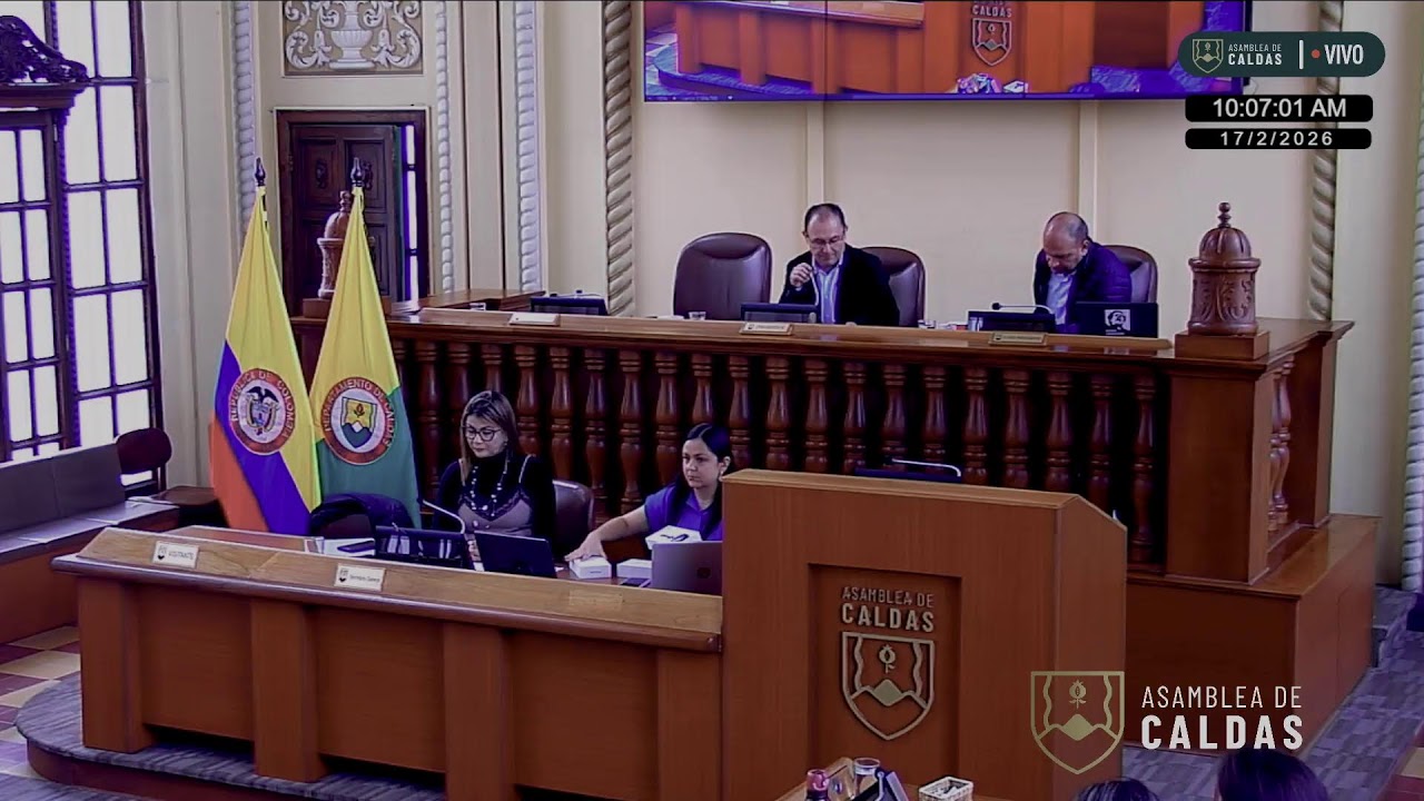 17 de febrero 2026 -  Sesión Plenaria