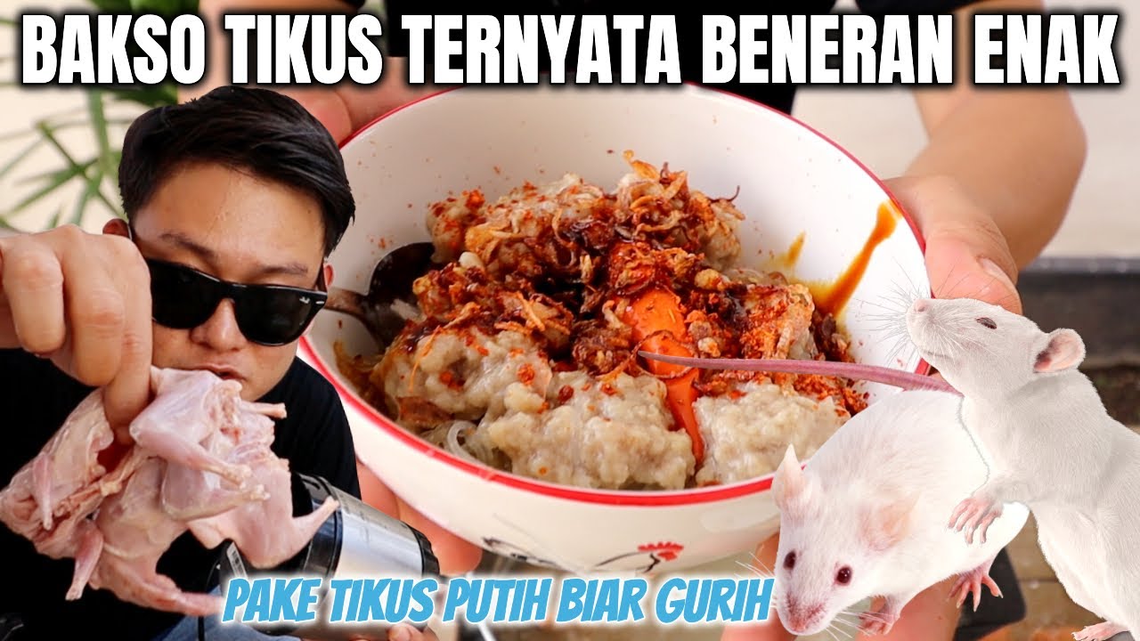 BUAT BAKSO DARI TIKUS PUTIH, ENAK URATNYA, TULANGNYA KRIUK KENYAL