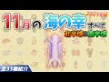 【あつ森】11月に捕れる海の幸を全てを紹介！出現時間や影のサイズ、捕まえ方、値段など徹底解説！センジュナマコやメンダコ、イセエビなどレアが大量【あつまれどうぶつの森　11月海の幸図鑑】