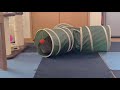 チャコちゃん[ネコ]ダイソーキャットトンネル(みつまた)購入〜気にいるのか、、