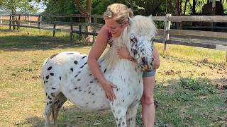 Making It Grow | Singleton Stables
