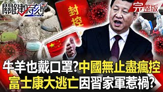 Cows and sheep also wear masksChina's Endless Epidemic Lockdown.Foxconn completely blocked