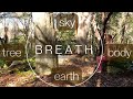 9 cycles of Breath, exchange Body Qi with Nature Qi for Healing, Transformation, Connect to Universe