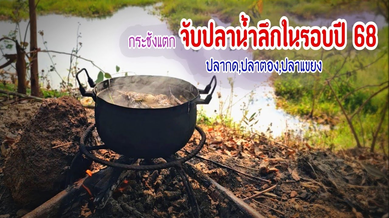 จับปลาน้ำลึกครั้งแรกของปี 68 กระชังแตกสองครั้งปลากด,ปลาตอง,ปลาแขยงโคตรเยอะ