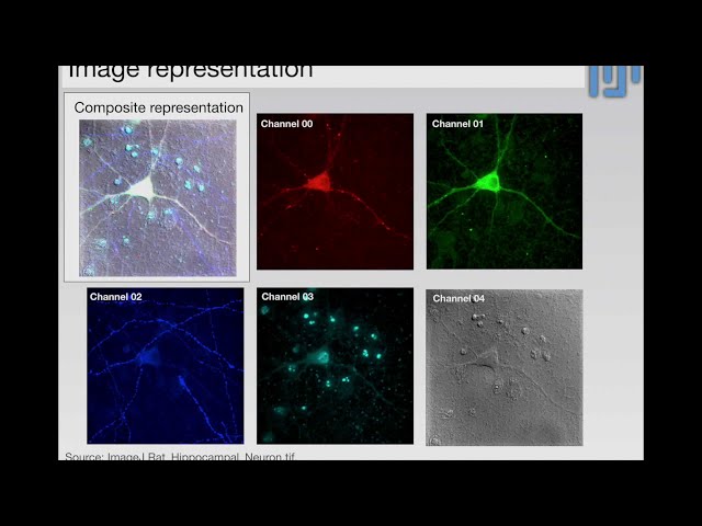 Imagej Examples 30 min Introduction to Fiji/ImageJ for bioimage/microscopy analysis.