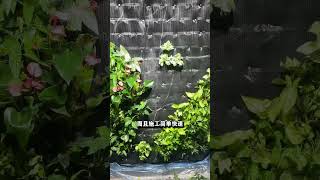 Why Is a Living Wall the Ultimate Green Hack? 🌿