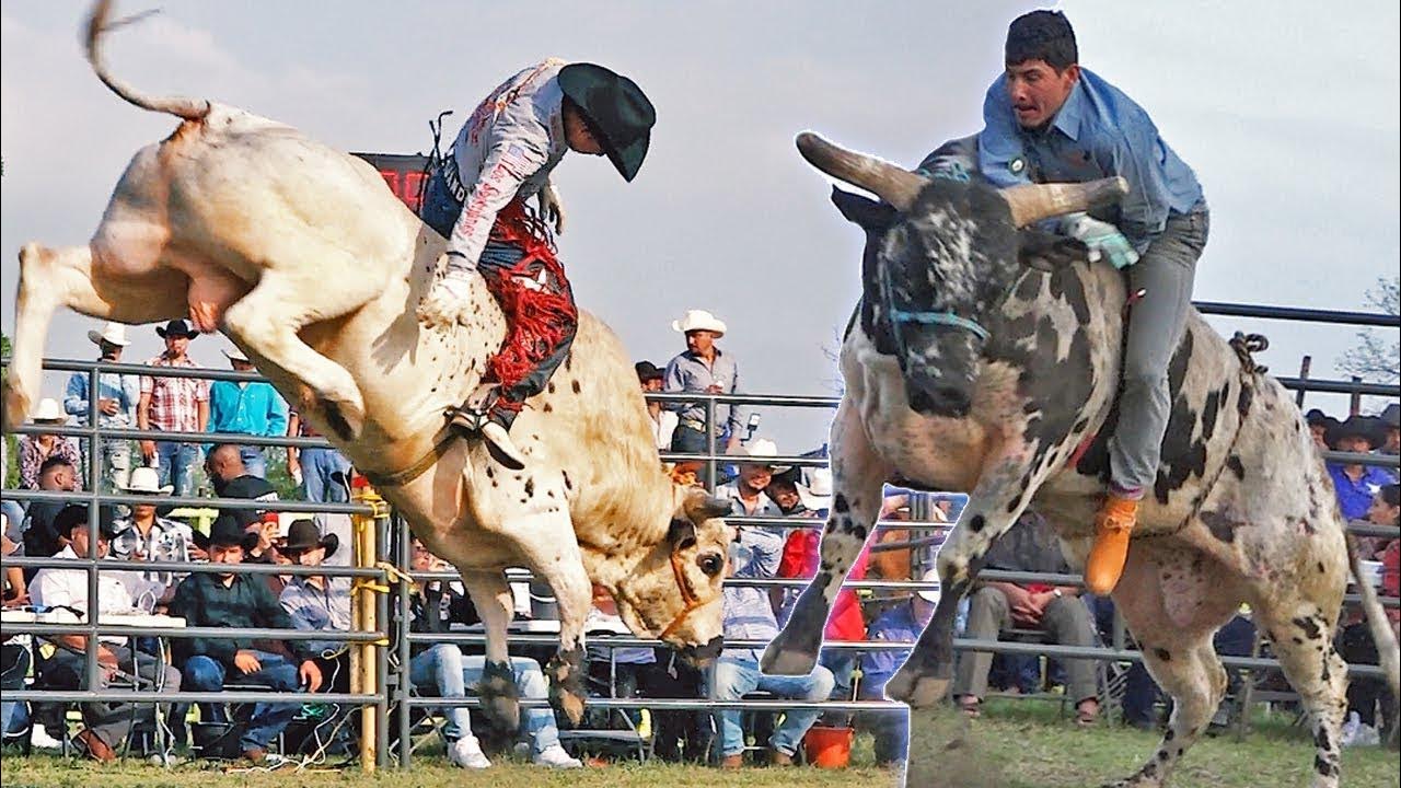 Jaripeo Profesional Santa cruz Xitla Oaxaca Mayo 2022 YouTube