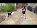 Lolicc:Polio Girl -Go home