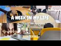 Final Semester week #7 | Uni life in Singapore | CS Student | Midterms [Vlog # 21]