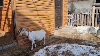 Не поторопилась ли я с аппаратом. Стройка началась. Доп.работы.