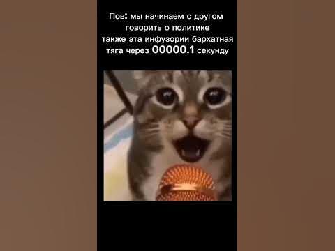 Мем с котом раша раша #fastler #Новости #ТелепередачаНашаRussia #бедность #Мемы Title: The Rich Go to