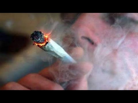 ملعون ابوك يا حشيش