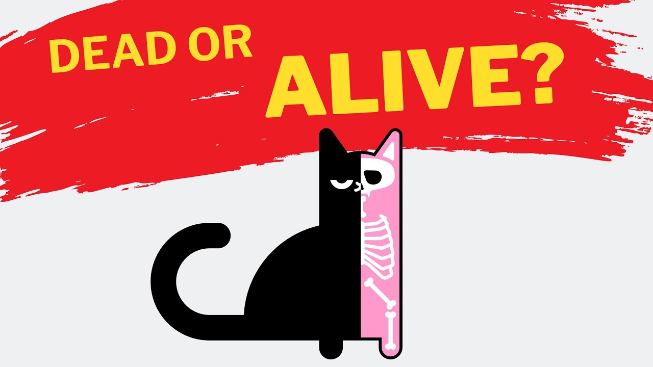 Schrodinger's Cat - Alive or Dead: You Decide - YouTube