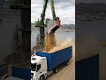 Green harbor crane unloading sand from a cargo ship while two heavy trucks wait side by side