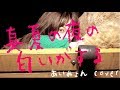 【あいみょん】 「真夏の夜の匂いがする」cover【MV】「Heaven?~ご苦楽レストラン~」主題歌