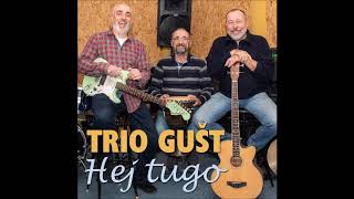 Trio Gušt - Hej Tugo (Official Art Video)