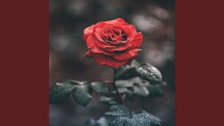 Download Lagu You are mine MP3