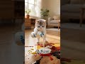 naughty cat #ai  #viral #cat