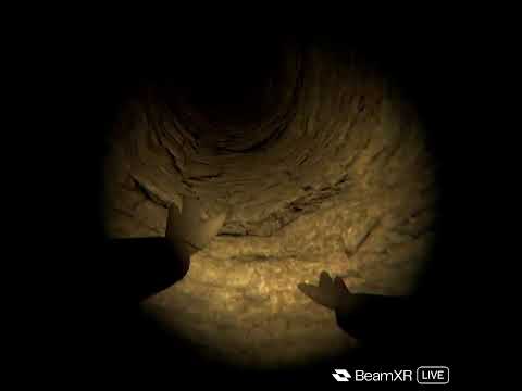Playing vr gorilla live