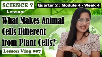 SCIENCE 7 Q2 Module 4. What Makes Animal Cells Different from Plant Cells