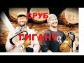 Сруб - ГИГАНТ из сибирского кедра в Екатеринбург. Начало.