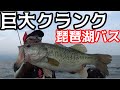 秦拓馬×釣りよか　巨大クランクでビッグバス！