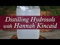 Distilling Hydrosols with Hannah Kincaid
