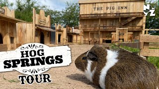 Guinea Pig Village Tour  Wild West Town  Hog Springs