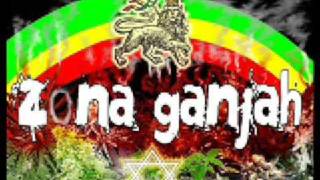 Video thumbnail of "Zona ganjah - Camino"