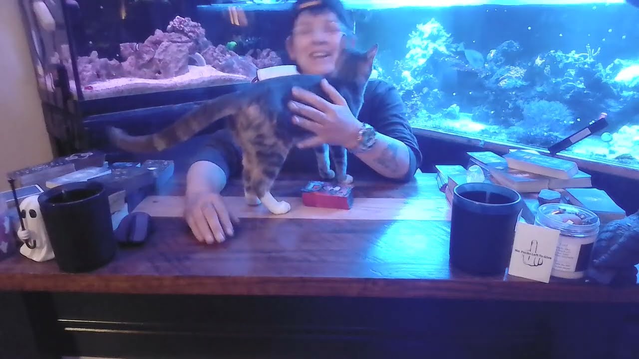 ЭТО ГРЯЗНО И СТРАШНО 😧🫣 ЗЛО!! #коллектив #зодиак #ангел #дьявол