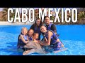 🐬 Swimming with Dolphins!🐬| Exploring Cabo Mexico 🇲🇽