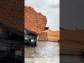 Unloading the Stack: How a Dump Truck Releases a Full Load of Lumber