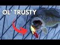 Fast Smallmouth Fishing - Rapala Shad Rap